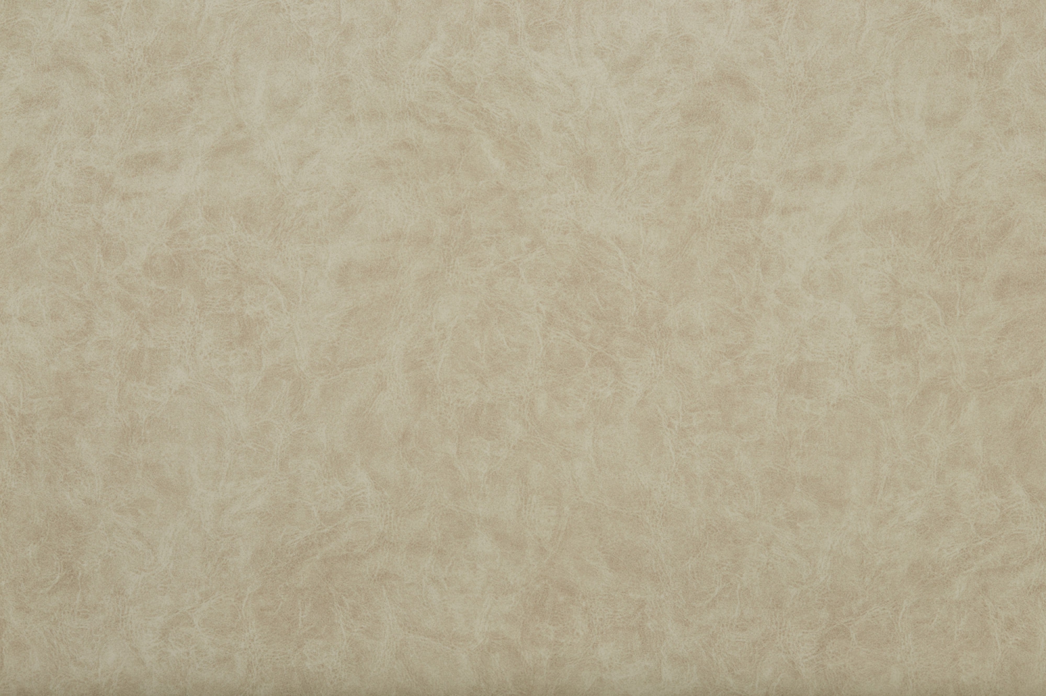 Camel_21
